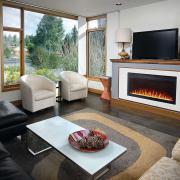 Napoleon Purview 42 Electric Fireplace - view 3