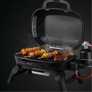 Napoleon Travel TQ 240 Portable Gas Barbecue | Grilling Skewers